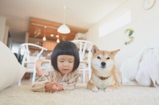 家づくりは2年前に書いたブログから始まりました りんごのおうち 家づくりは2年前に書いたブログから始まりました りんごのおうち