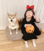 家づくりは2年前に書いたブログから始まりました りんごのおうち